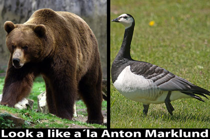 Tryck f&ouml;r st&ouml;rre bild!