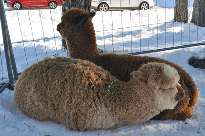 Tryck för större bild!